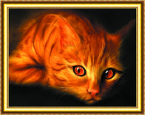 Рыжий кот при ярком свете