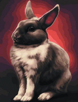 Черно-белый кролик