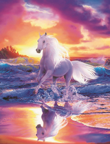 Белая лошадь на берегу моря