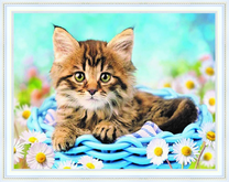 Полосатый котёнок среди ромашек