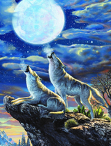 Вой волков на луну