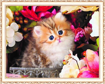 Грустный маленький котёнок среди цветов