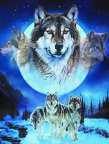 Три серых волка в ночных горах