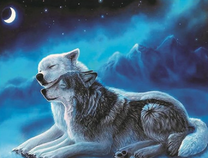 Влюбленные волки на фоне зимних гор