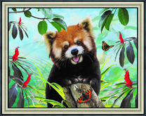 Веселый енот и бабочки