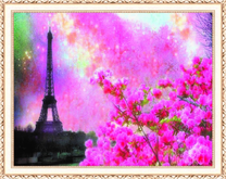 Вид на розовые цветы и Эйфелеву башню