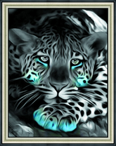 Черно-белый гепард