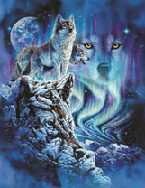 Духи серых волков и северное сияние