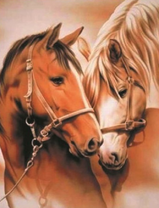 Две влюбленные лошади