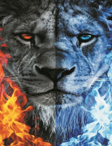 Огненный и ледяной лев