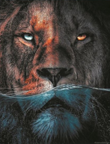 Лев с разными глазами