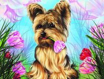 Йорк среди тюльпанов