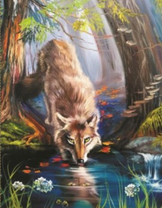 Волк на водопое в густом лесу