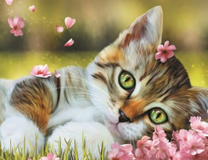 Котенок и нежные розовые цветочки