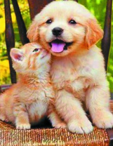 Два рыженьких товарища