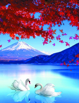 Белые лебеди под красным деревом