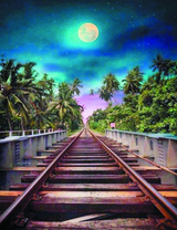 Железная дорога среди пальм в полнолуние
