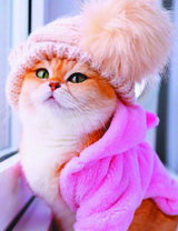 Кошечка в халатике и шапке