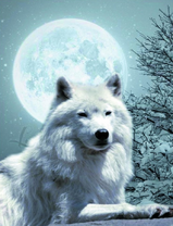 белый волк на фоне полнолуния