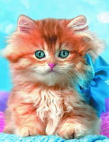 Пушистый рыжий котёнок с бантиком