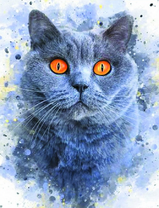 Испуганный кот с янтарными глазами