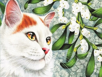 Красивый белый котик