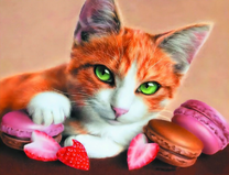 Зеленоглазый котик и пироженки