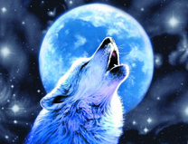 Волчий вой в полнолуние