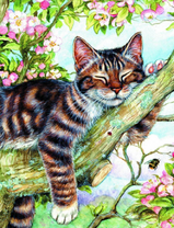 Балдеющий котик на дереве