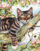 Сладкий котячий сон на цветущей яблоне