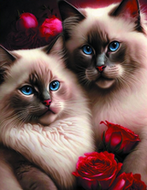 Кот с кошечкой и красные розы