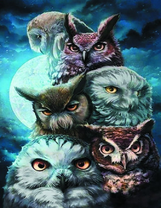 Совы на фоне луны