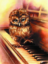 Маленький филин на фортепиано