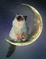 Пушистый кот на луне