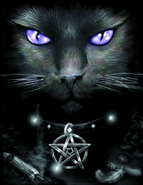 Синеглазый черный кот