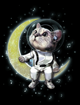 Котёнок космонавт на луне