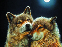 Пара волков на фоне полнолуния