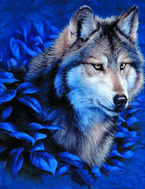 Серый волк среди тёмных листьев