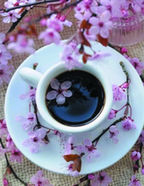 Крепкий кофе и цветущие ветки