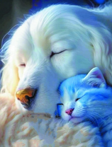 Белый пёс и котёнок