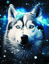 Хаски и снег