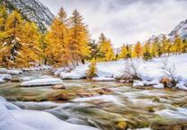 Бурная река у подножья гор