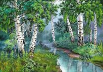 Небольшой ручеек в березовой роще