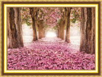 Аллея в цветах сакуры