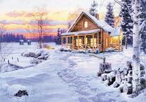 Загородный домик в зимнем лесу