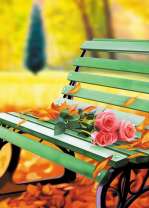 Три розы на лавочке в парке