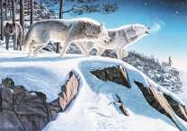 Охота волков в снежном лесу