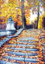 Опавшие листья в городском парке