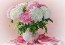 Красивый букет хризантем