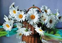 Корзинка с большими ромашками